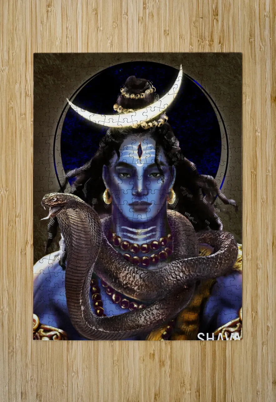 The First Yogi - Shiva